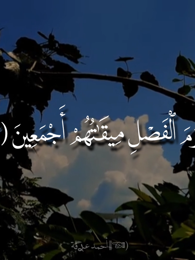 ﴿إِنَّ یَوۡمَ ٱلۡفَصۡلِ مِیقَـٰتُهُمۡ أَجۡمَعِینَ﴾ تلاوة خاشعة من سورة: الدخان .. للقارئ: عبد العزيز العسيري .. 🎧🖤 #سورة_الدخان  #عبد_العزيز_العسيري  #خشوع  #Quran  #inshot 