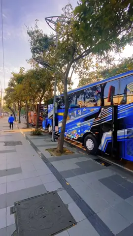 Alhamdulillah #buspariwisata #pariwisataindonesia #fypp #fypage #fypシ゚viral🖤tiktok 