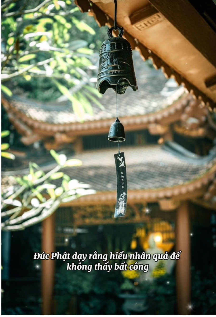 Đức Phật dạy rằng: Hiểu nhân quả để không thấy bất công…🌱  Xin thường niệm: Nam Mô A Di Đà Phật 🪷🙏🪷 #tinhtam1191 #phatphapnhiemmau #tutap #fyp #xh 