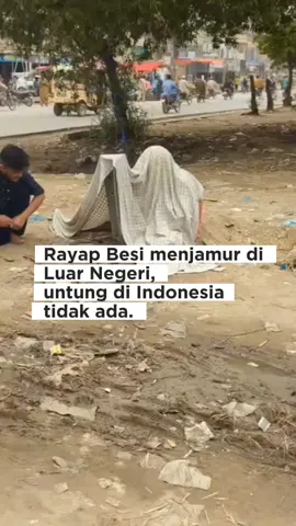Rayap besi sudah menjamur diluar negeri. untungnya di Indonesia belum ada. Belum ada obat pemusnahnya.  #kasihkabar #rayapbesi