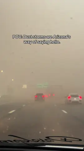 Dust storms are Arizona's way of saying hello. #normalisboring #arizonaduststorm #normalday #whatsnew 