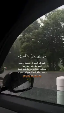 مطر ورب مُجيب#الحمدلله_دائما_ابدا #مطر #jazan #بودكاست #اكسبلور #quran اللهم حلمي🩺. 