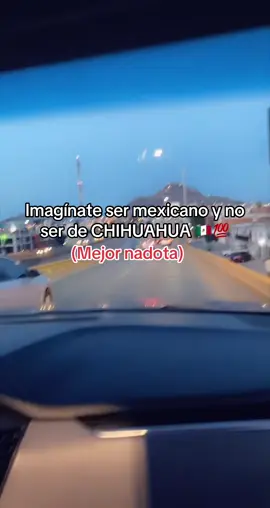 #chihuahua #fypシ #chingon 💯 🇲🇽😘