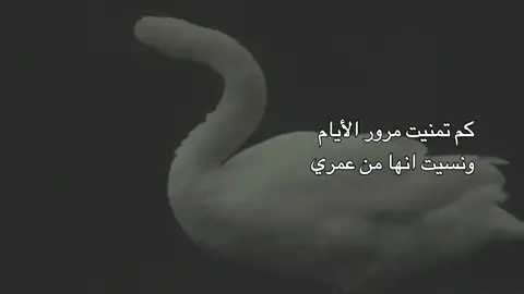 نسيت . #مرور_الايام #نسيت #العمر 