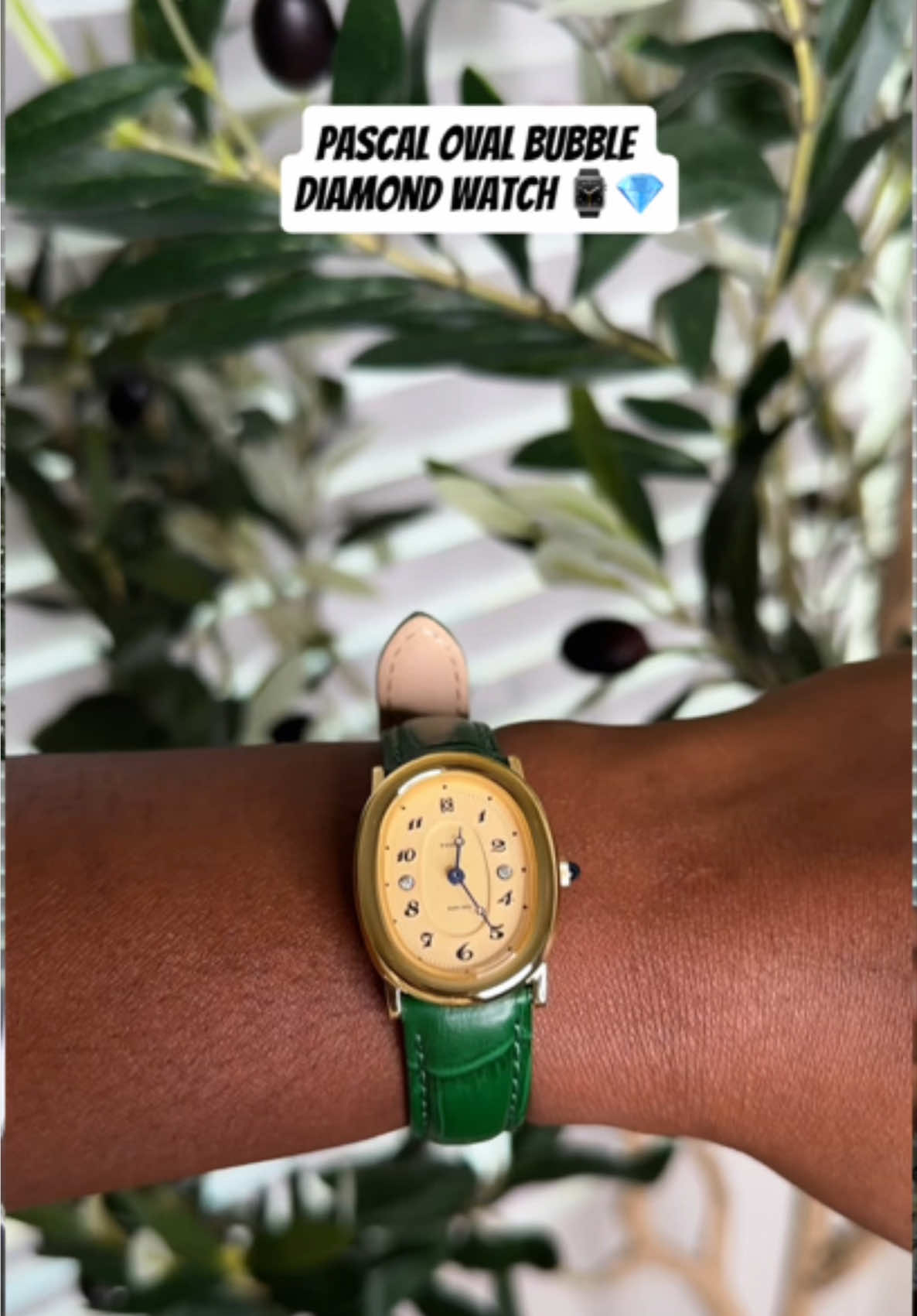 #jewelry #pascalwatch #ovalwatch #swisswatches #fashiontiktok 