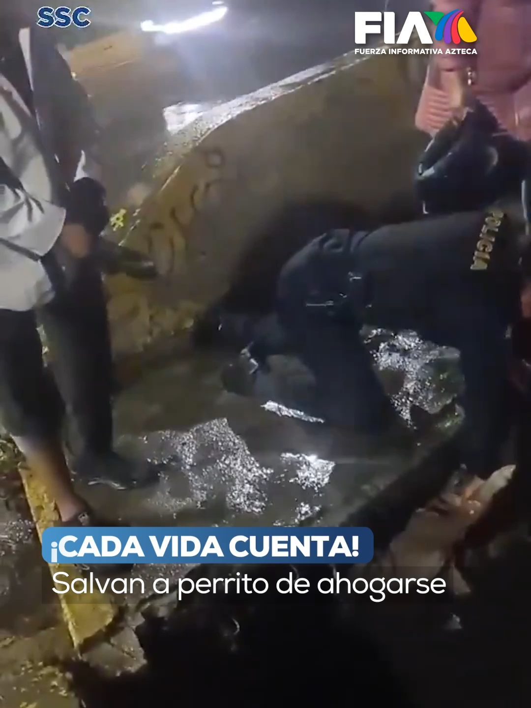 🚨🐶 ¡Heroína sin capa! Salvan a perrito de morir ahogado en CDMX. En medio de una intensa tormenta en la alcaldía Álvaro Obregón, una valiente oficial de la Policía Bancaria e Industrial de la CDMX se convirtió en heroína al rescatar a un perrito atrapado entre ramas y basura en la presa San Francisco. Con ayuda de vecinos, logró liberarlo justo a tiempo, evitando una tragedia. ¡Gracias a quienes protegen a nuestros peludos! 🐾💙 #CDMX #SSC #RescateAnimal #PolicíaCDMX #TikTokInforma