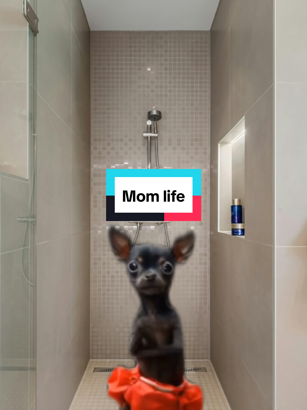 Because every shower turns into a stage performance. #creatorsearchinsights  #MomLife #ShowerConcert #ParentingHumor #Relatable