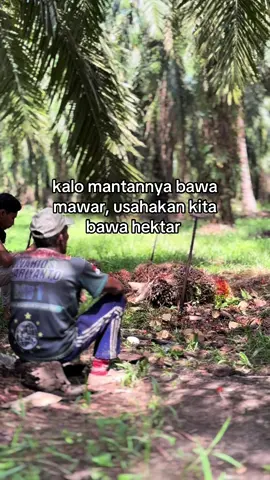 gimana deal 🤝🏻 #petanimuda  #sawitontiktok  #sawitriau  #fyp  #riau 