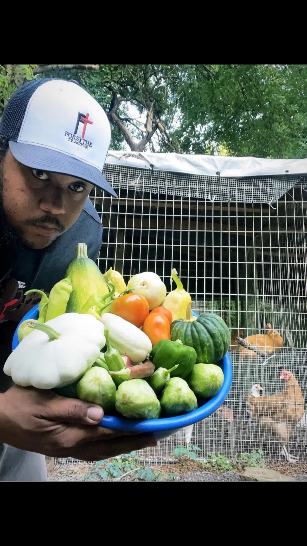Vegetable garden harvest #garden #gardentok #gardening #vegetablegarden #gardenharvest 