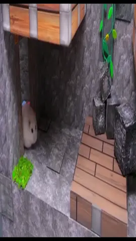 Luh calm hamster #hamster #obstaclecourse #niche #viral #fyp 