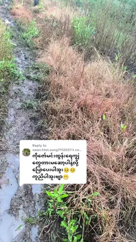 Replying to @swan.htet.aung7112021 #ဇော်မင်းထွန်ကို aiနဲ့ဆုံးမ