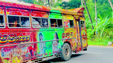 රූට් එකට මුලිම්ම ගහපු පාට තුනේ ඩිසයින් එක ❤️💚💛 ස්වර්ණා & Two sons කැගල්ල 507 කුරුණෑගල ( N ) NC 5406 #fyp #foryoupage #srilankan_tik_tok🇱🇰🇱🇰🇱🇰 