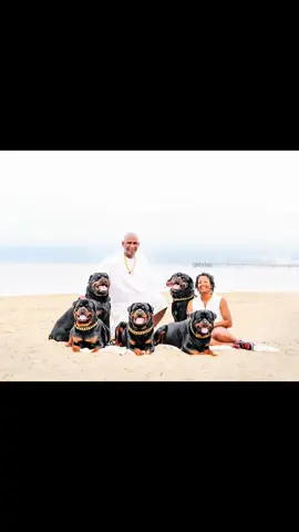 Beautiful Beaches in Los Angeles with the 5 Rs!🐶🐶🐶🐶🐶💦🐾🎶#fyp #influencer #dogsoftiktok #rottweilersoftiktok #dog 
