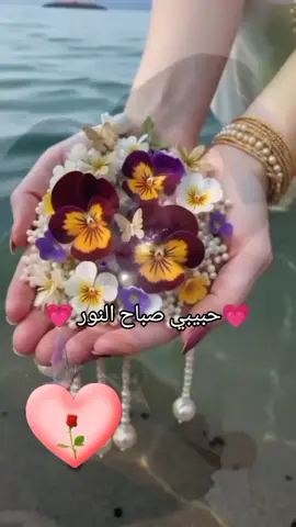 صباح #الخير  وكل #الخير  #تصميم_فيديوهات🎶🎤 🎧 🎬 #حالات_واتس🖤🔥 
