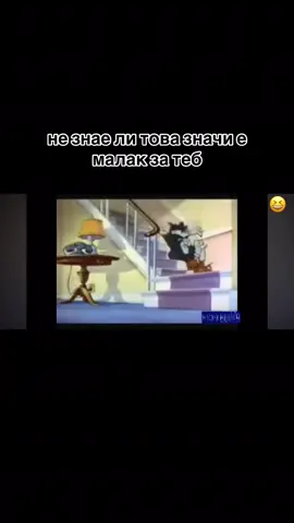 #fypツ #nostalgia 🐭🐱