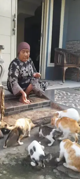 Ema kucing minta Madang Mulu #betawinyablak #betawibekasi #betawiora #fypシ゚viral #betawiasli #betawi #emaemaberdaster 