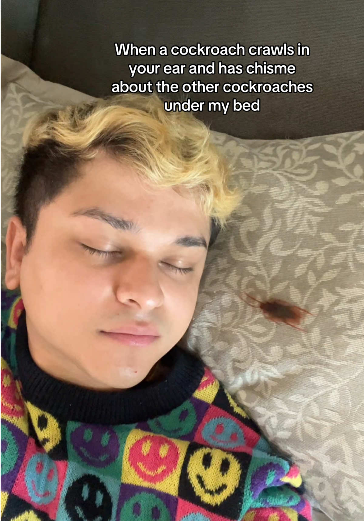 I didn’t know there was so much drama goin on under my bed 👂🪳  #cockroach #gossip #fypシ #viral #xyzbca 