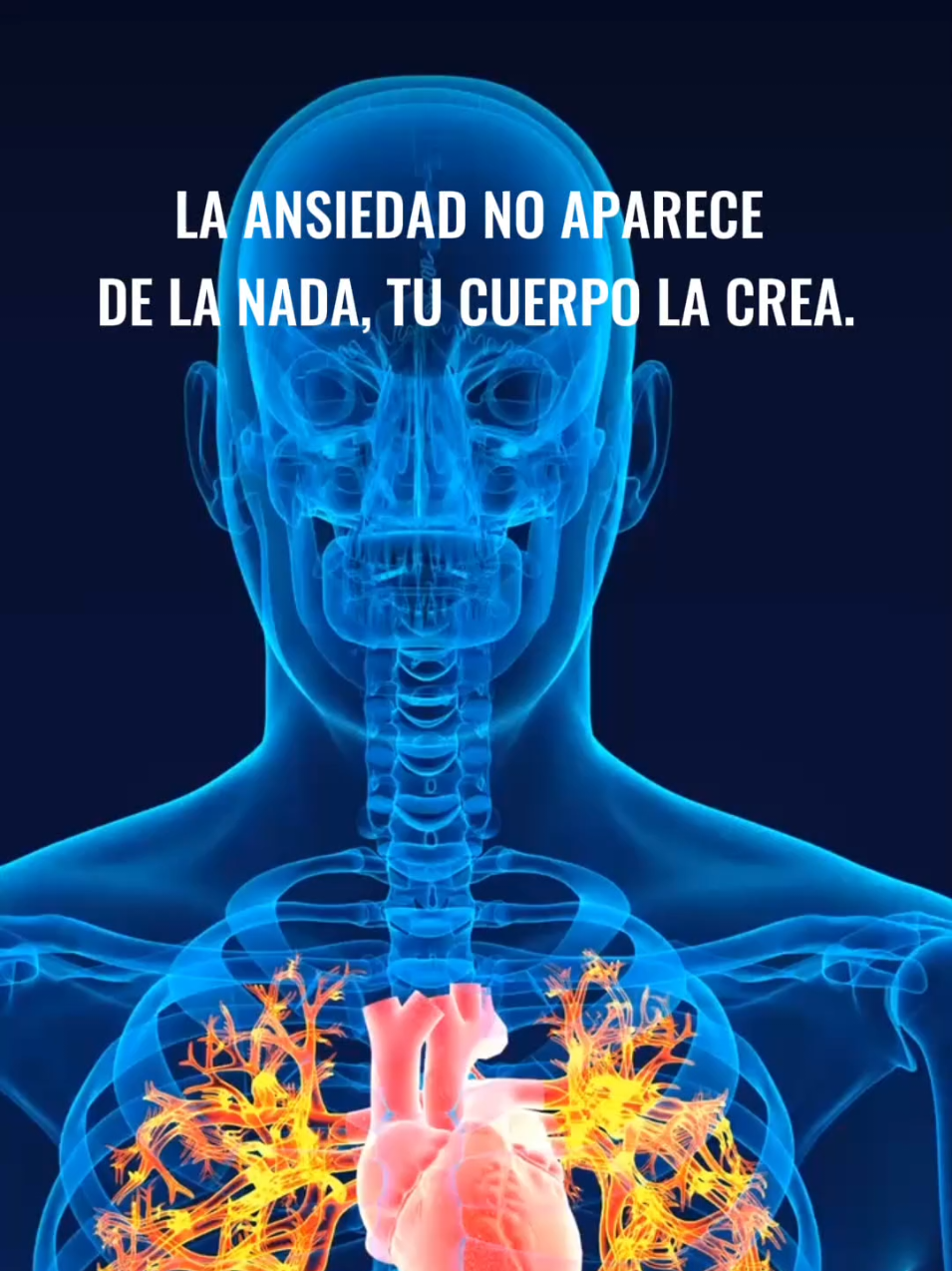 la ansiedad no aparece de la nada, tu cuerpo la crea. #anxiety #fyp #viral #mindfulness #ansiedad 