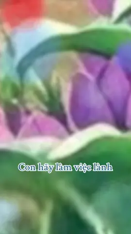 Lời Phật dạy #hocphatmoingay #chiasephatphap #thinhhanh #trending #phatphapnhiemmau 