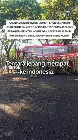 #nusantara #international #indonesia 