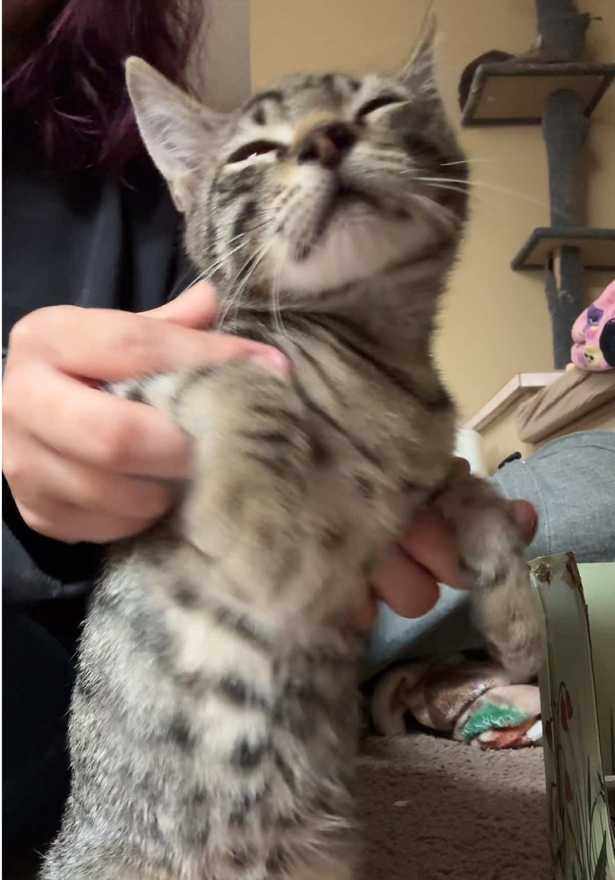 Brings all the kitties to the yard  @KATSEYE  @Gap #katseye #sydneysweeney #cute #dance #trend 