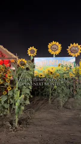 I can’t wait to take the kids next month 🎃 @Frosty’s Forest Pumpkin Patch #spookyseason #frostysforest #pumpkinpatch #pumpkinseason #familyfriendly 