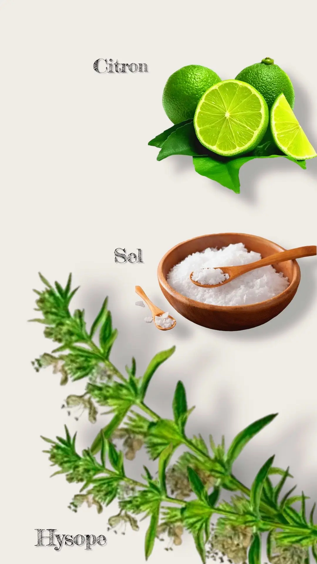 🌿 Ingrédients nécessaires: 	_ Hysope séchée ou fraîche (herbe sacrée, souvent utilisée dans les rituels de purification) 	_ Gros sel (de mer ou sel d’Himalaya, pour purifier et protéger) 	_ Citron (fraîchement coupé en rondelles ou en jus) 	_ Eau chaude 	_ (Optionnel : encens, bougie blanche, huile essentielle de lavande ou de citron)                     🛁 Préparation du bain : 	1.	Préparer l’infusion d’hysope : 	•	Faites chauffer 1 à 2 litres d’eau. 	•	Ajoutez une poignée d’hysope (séchée ou fraîche). 	•	Laissez infuser 10 à 15 minutes à couvert. 	•	Filtrez l’infusion. 	2.	Remplir la baignoire : 	•	Remplissez votre baignoire avec de l’eau tiède à chaude, selon votre confort. 	3.	Ajouter les éléments purifiants : 	•	Versez l’infusion d’hysope dans l’eau du bain. 	•	Ajoutez : 	•	3 à 5 cuillères à soupe de gros sel 	•	Le jus de 1 citron ou quelques rondelles de citron 	4.	Créer l’ambiance (optionnel mais conseillé) : 	•	Allumez une bougie blanche pour la paix et la lumière. 	•	Brûlez de l’encens (comme le benjoin, la myrrhe ou la sauge). 	•	Mettez une musique douce ou restez en silence pour vous recentrer. ⸻                          🧘‍♀️ Rituel du bain : 	•	Entrez dans le bain avec l’intention de vous libérer des énergies négatives. 	•	Visualisez les tensions, peurs ou blocages se dissoudre dans l’eau. 	•	Restez dans le bain environ 20 à 30 minutes. 	•	Vous pouvez réciter une prière, une affirmation, ou simplement méditer en silence. 	•	À la fin, ne rincez pas à l’eau claire immédiatement. Laissez l’eau sécher sur vous si possible, ou tamponnez doucement avec une serviette.  doucement avec une serviette.