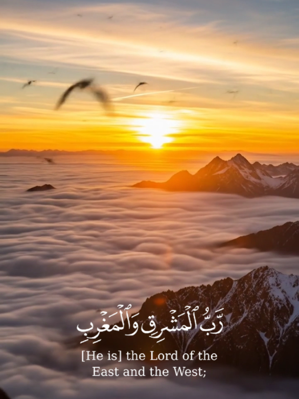 أروع تلاوات الشيخ السيد سعيد | Quran Recitation  | تلاوة خاشعة مؤثرة Quran Recitation Sheikh El Sayed Said تلاوات نادرة الشيخ السيد سعيد أجمل تلاوة قرآنية مؤثرة صوت نقي للقرآن الكريم ترتيل القرآن الكريم مجود quran tilawat sheikh elsayed said #تلاوات_نادرة #صوت_خاشع  #الشيخ_السيد_سعيد #Quran #quranrecitation 