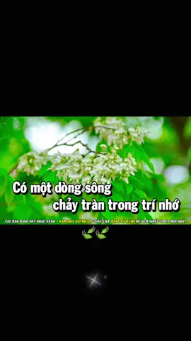 🍃🍃🍃🍃mãi🥦🥦🥦🥦☘️☘️☘️☘️☘️☘️