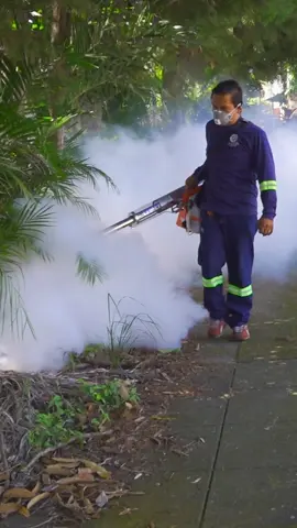 En el marco del Día Nacional de Combate Contra el Dengue, el alcalde @Mario Durán  gestionó una Jornada de Fumigación en 200 viviendas de la residencial Versalles, Zona 4 del Distrito Capital.