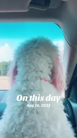 #onthisday 