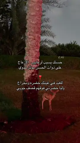 وليا حضرتي فوقهم قصف جوييي🫦💅🏻