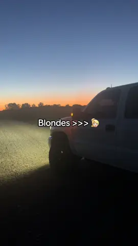 Yes that’s all #fyp #blondes #like #duramax 
