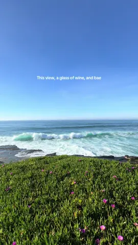 You feel me??  #lajollacove #lajollasandiego #sandiegohiddengems #lajolla 