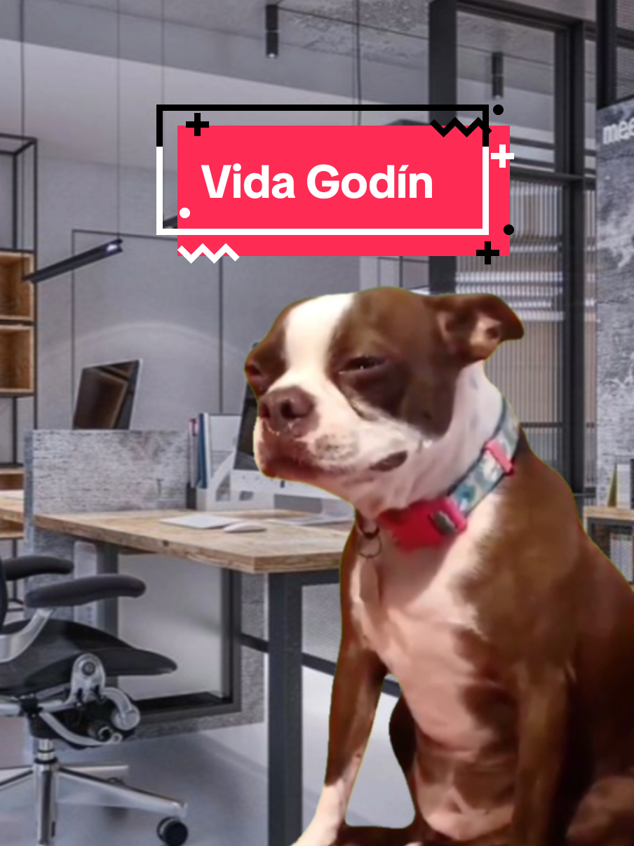 Godin Wolrd #godinezlife #oficina #noquierotrabajar #odiomitrabajo #jajaj 