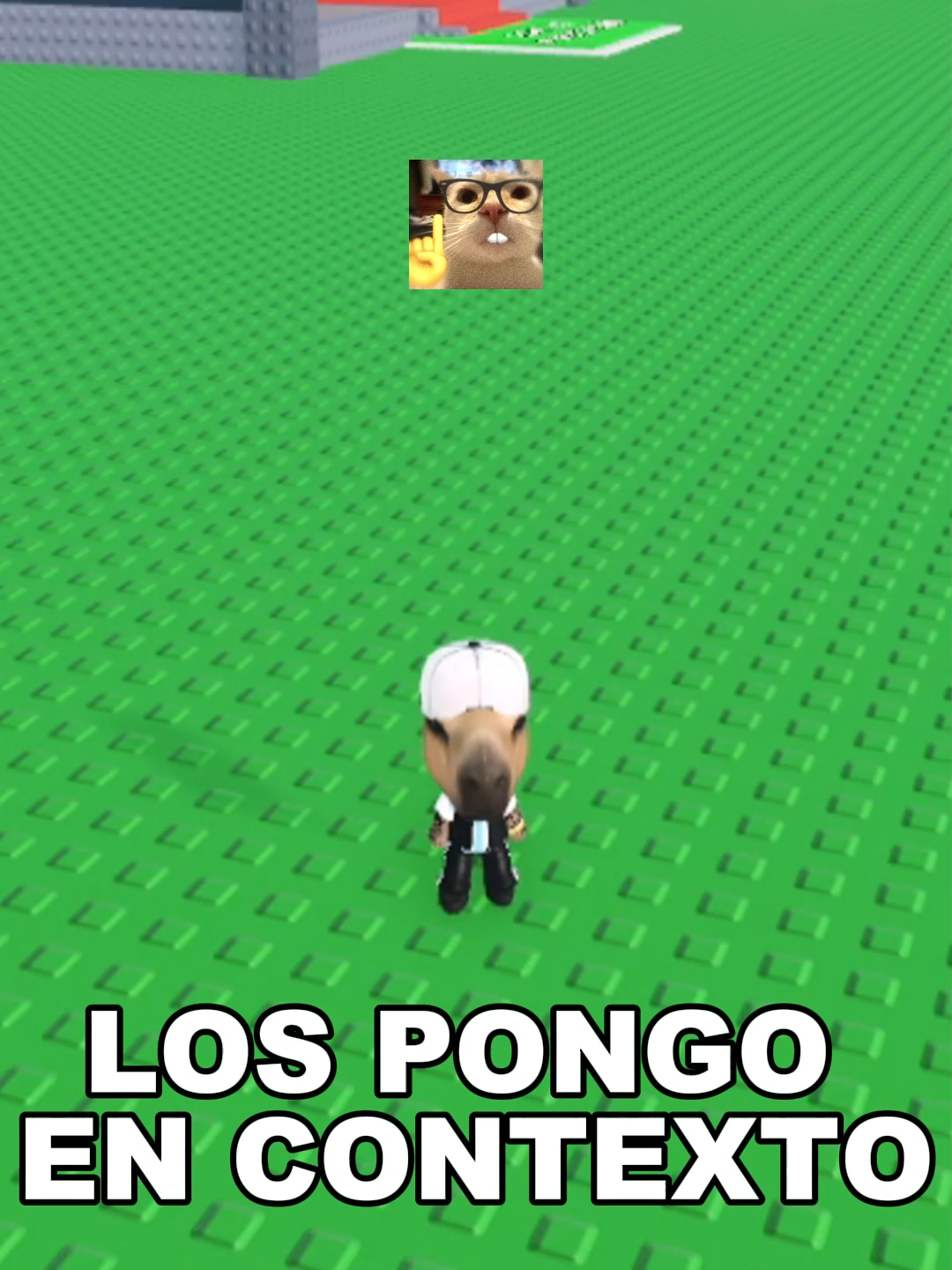 Batalla de RAP en roba un BRAINROT #robloxfyp #rap #brainrot #robaunbrainrot #micup #argentina #chile