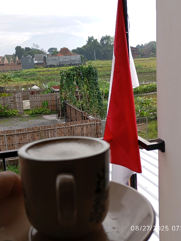 morning wake with veggies...view merapi Dan persawahan. alhamdulillah  #hydrophonic #veggies #jogja24jam #petanimuda 