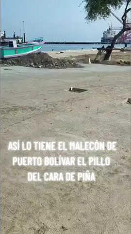 #virall #tiktokviralvideo #tik_tok #viralvideo #eloro #machala #foryou #ecuador #fanpage #corruptos #tiktoknews #video #viraltiktokvideo 