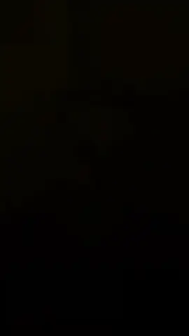 #CapCut 