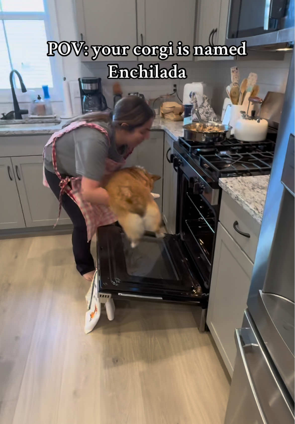 So yummy! #corgi #enchiladas 