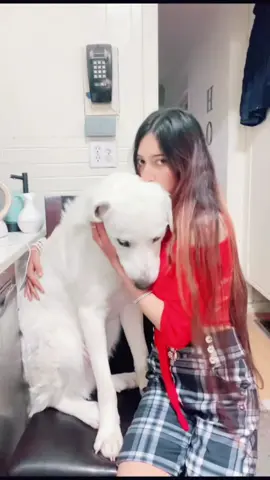 Love ❤️ #onefamily #fypシ #viraltiktok #ali #PetsOfTikTok 