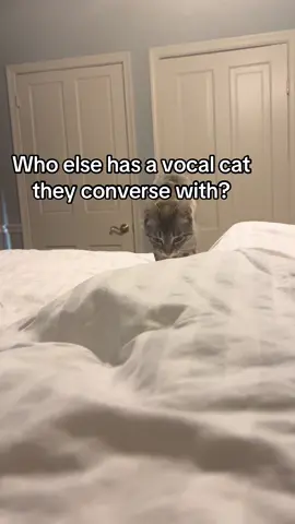 I know I’m not the only one who has full convos with my cat😂 Where my people at?!  #fyp #foryou #catsoftiktok 