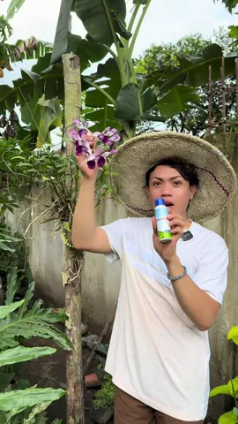 Namulaklak ang orchids ng dahil sa ultraboost Napaka effective! kaya naman mag order na nasa yellow basket 🧺 #ultraboost #Fertilizer #orchids #fyp 