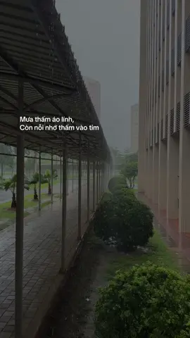 Vào một ngày mưa...#sqct #lch #siquanchinhtri #motchubodoi #qdndvn 