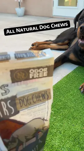 Options and they love them all. Thank again @Mighty Paw  #dogtok#dogchews#naturalchews#rottweilersoftiktok  