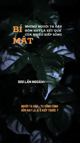 Tất cả điều đến vì trả vay, báo đáp những nghiệp lực từ muôn vàn kiếp sống khác. #ngộđểan #phatphapnhiemmau #xuhuongtiktok 