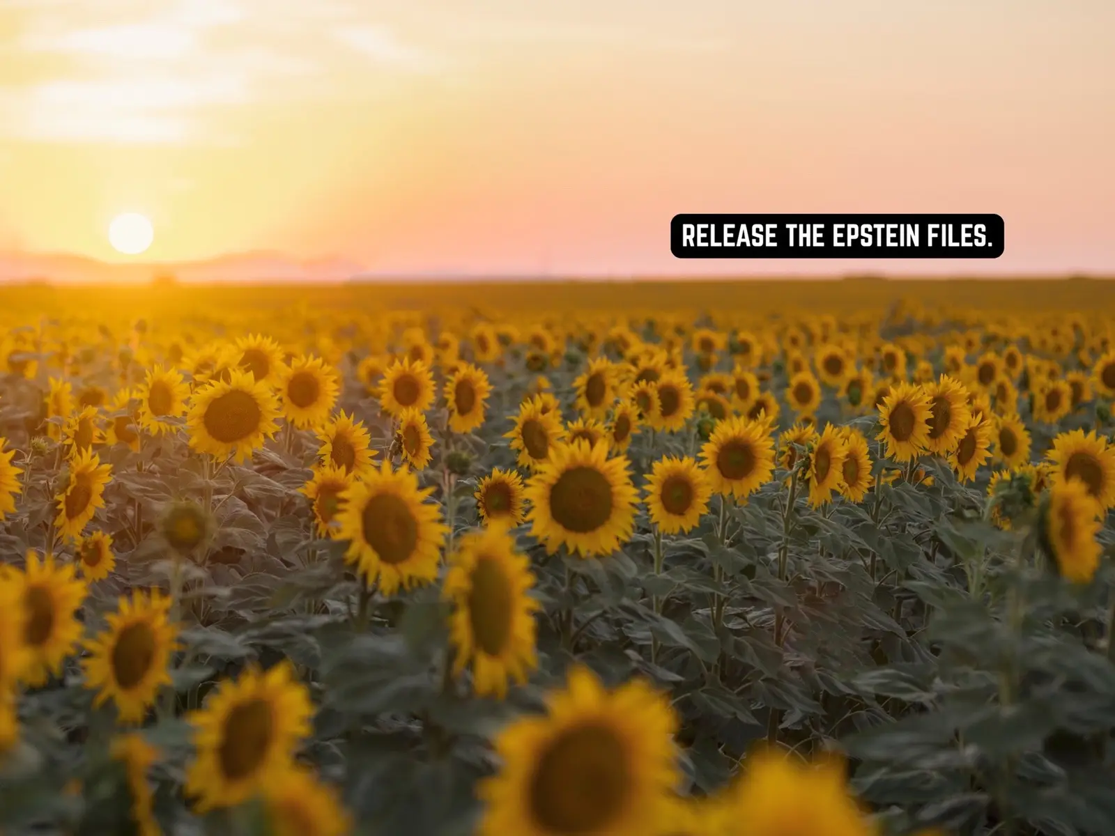 Don’t you just love nature and photos of nature? #nature #naturephotos 