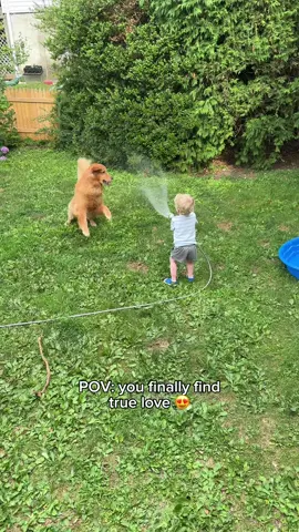 Everyone loves Taylor Swift’s love story, but this one will always have my heart 😍 . . . #goldenretriever #dogfamily #taylorswift #babyanddog #dogandbaby #BestFriends #boyandhisdog #lovestory 