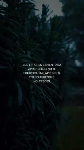 Los errores sirven para aprender,  sino te equivocas no aprendes💪🏻🍃💸❤️‍🩹 #CapCutMotivacional #Motivacional #reflexaododia #CapCut #paratiiiiiiiiiiiiiiiiiiiiiiiiiiiiiii @#foryou @FRASES Y REFLEXIONES @CapCut 