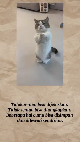 Tidak semua bisa dijelaskan. Tidak semua bisa diungkapkan. Beberapa hal cuma bisa disimpan dan dilewati sendirian. #quotes #fypage #carifyp #kucing #serunyabelajar 